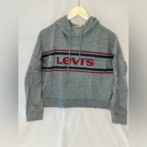 Levi's  Women's Crop Top Hoodie Sweater Gray Spell Out Size Small Street Wear